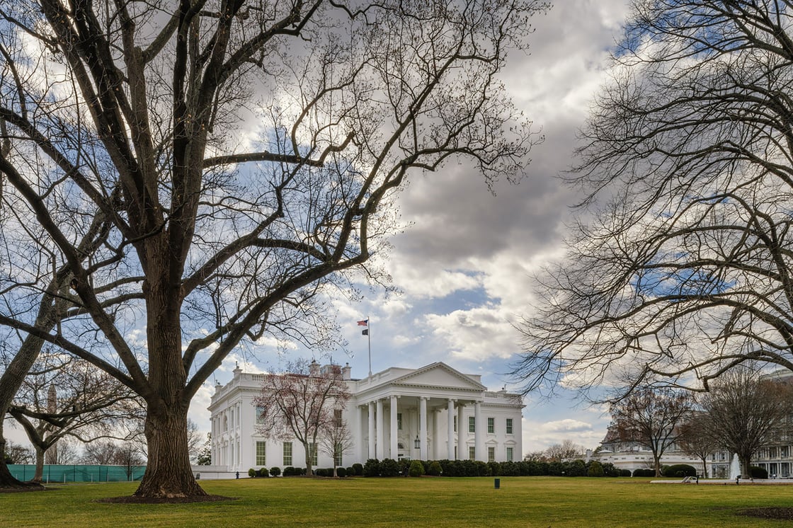 The White House is framed in the trees under a cloudy sky on March 9, 2025, in Washington. (Getty/J. David Ake)